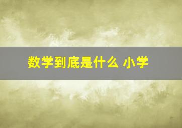 数学到底是什么 小学